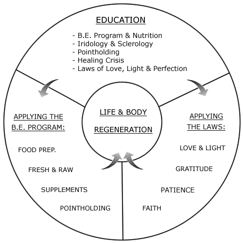 A Body Electronics 'Pie'